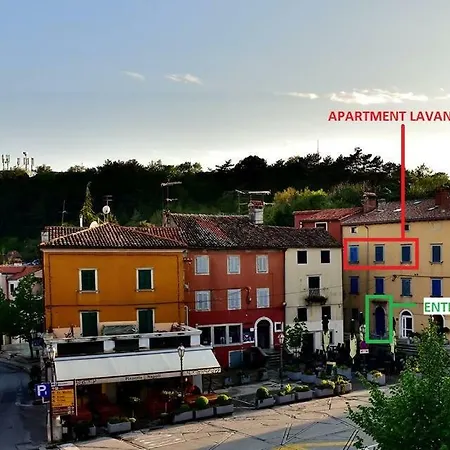 Lavander Daire Labin (Istria)